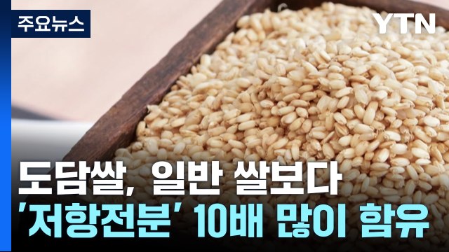 [녹색] 당뇨에 기특한 '도담쌀'...저항전분↑ 혈당↓ / YTN