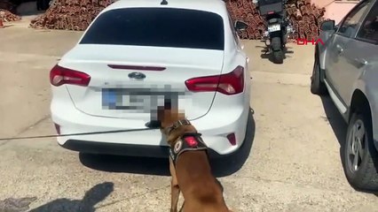 Osmaniye'de 103 Kilo Skunk Ele Geçirildi