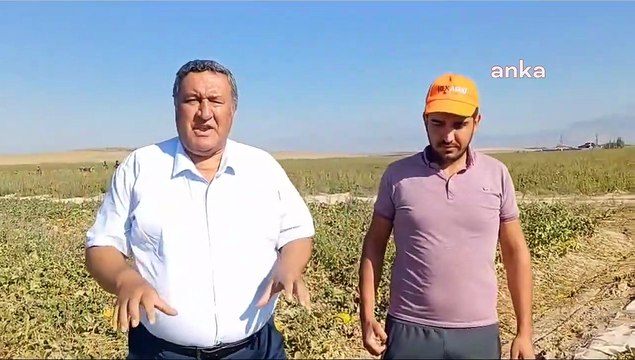 CHP Milletvekili Gürer, yabancılara arazi satışını sınırlandırmak için kanun teklifi verdi