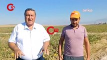 CHP’li Gürer: Çiftçi ‘Filistin’e döneceğiz’ diyor, yabancılara satış sınırlandırılmalı