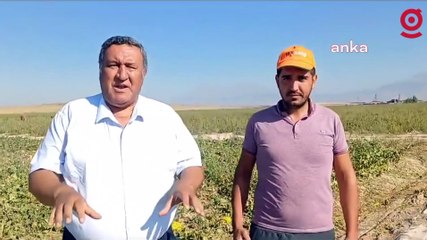 CHP'li Gürer'den yabancılara arazi satışının sınırlandırılması için kanun teklifi: Arazilerimiz el değiştiriyor