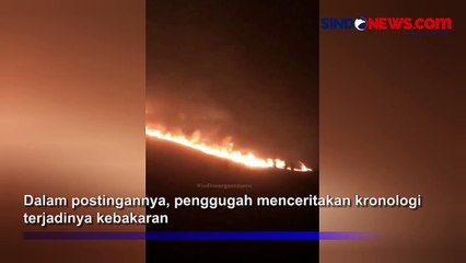 Viral! Penampakan Pelaku Pembakaran Kawasan Padang Savana Bromo