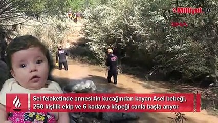 Sel felaketinde annesinin kucağından kayan Asel bebeği 250 kişi arıyor