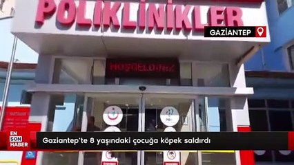 Gaziantep'te 8 yaşındaki çocuğa köpek saldırdı