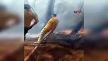 Çanakkale'de Orman Yangını: Havadan ve Karadan Müdahale Devam Ediyor