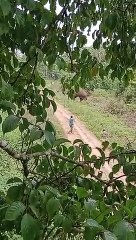 कर्नाटक : लापरवाही सामने आई तो होगी कार्रवाई