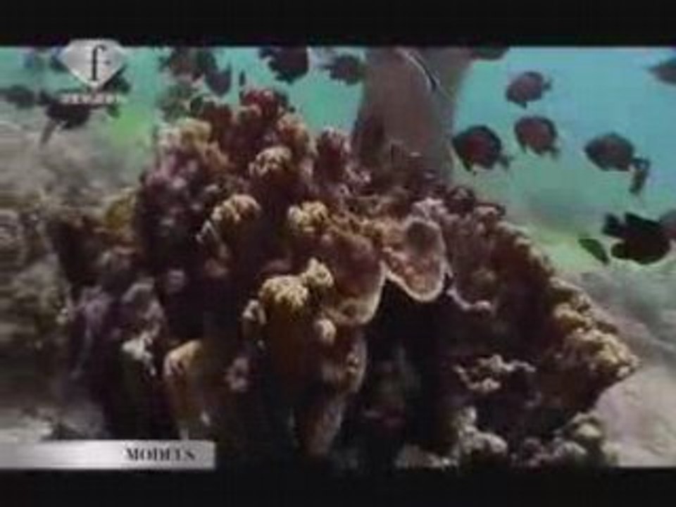 Model Bebe Pham Nautical Angels Underwater Photo Shoot