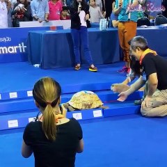 The History repeats again as the tortoise wins