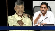 CM Jagan అలాంటివాడే ... కోపంతో ఊగిపోయిన Chandrababu Naidu | TDP vs YSRCP | Telugu OneIndia