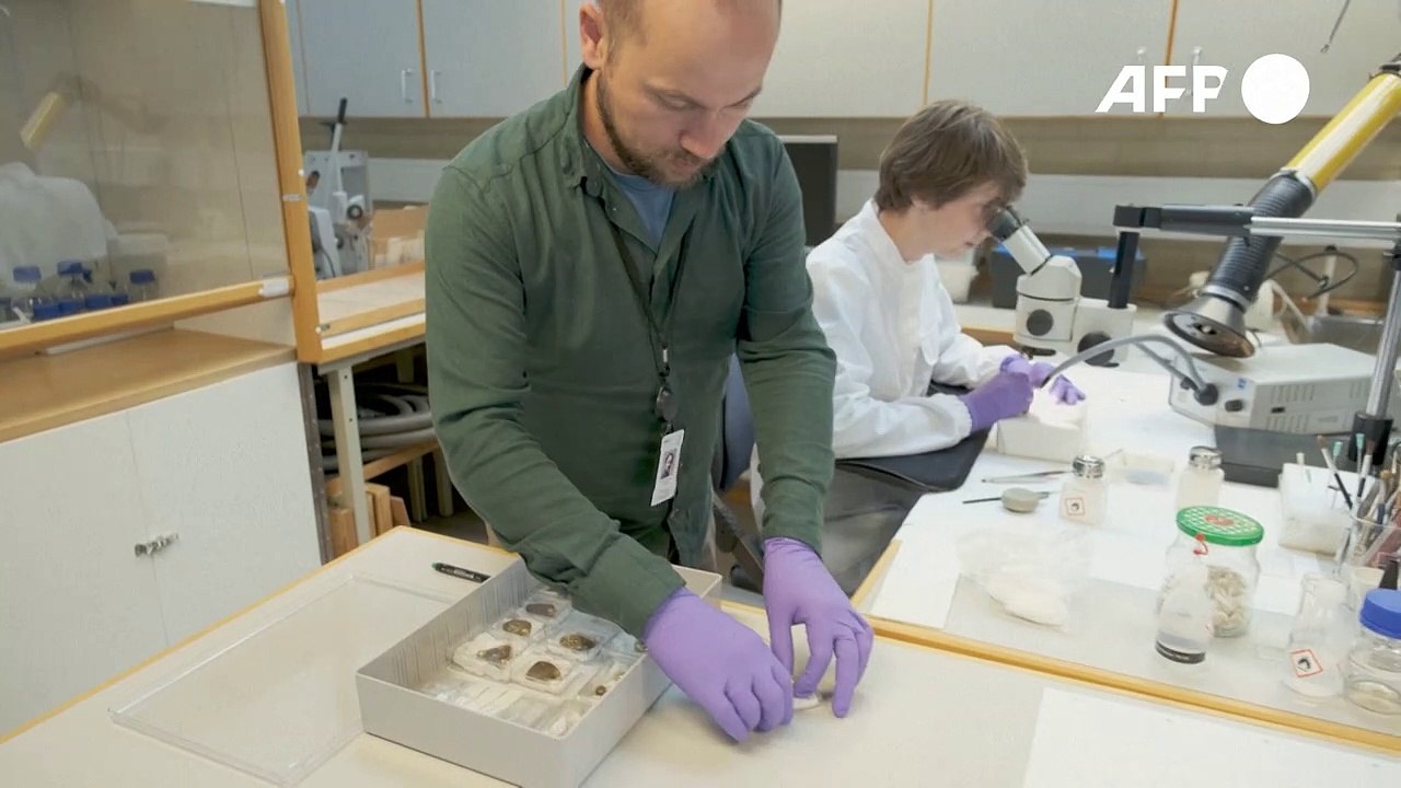 Norwegen: Hobby-Archäologe findet Goldschatz