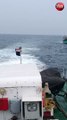 मछली पकड़ने वाली नाव को भारतीय तट रक्षक ने समुद्र में बचाया