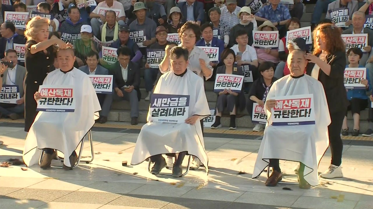 민주, 새만금 예산삭감 규탄하며 삭발..."잼버리 파행 희생양" / YTN
