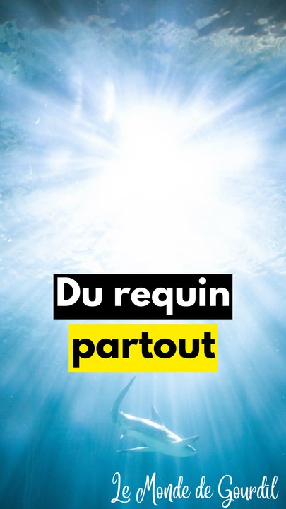Du requin dans nos cantines ..