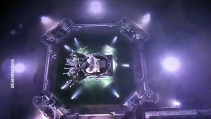 Un touriste casse une célèbre statue, à Florence, en montant dessus