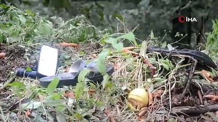 Ordu’da acı olay: Doğumuna 1 ay kala çocuğuyla birlikte hayatını kaybetti