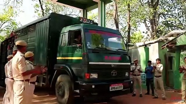 बाघों का नया बसेरा बनाने उत्तर प्रदेश और मध्य प्रदेश खर्च करेंगे तीन हजार करोड़, ये है योजना