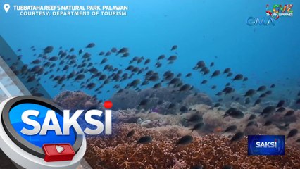 Pilipinas, muling kinilala bilang "Asia's Leading Dive Destination" sa World Travel Awards 2023 | Saksi