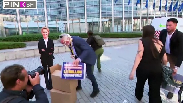 Ryanair? Pie in hair! Airline chairman Michael O'Leary is splattered on his head and face with pies by Belgian eco activists - but jokes 'the cream is better in Ireland'