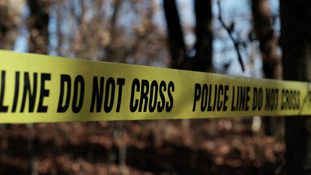 Ohio Man Allegedly Killed His Pregnant Sister and Her Husband at Picnic: Police