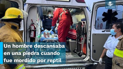Muerde en la mano víbora de cascabel a hombre de 35 años en Los Reyes La Paz