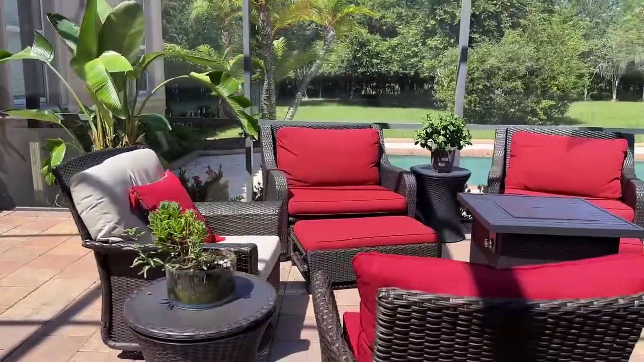 Great Dane helps with furniture & fire stick redecorating after Florida storm