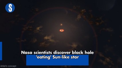 Nasa scientists discover black hole 'eating' Sun-like star