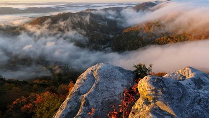 The Best Things To Do In Cumberland Gap, Tennessee