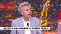 Gilles-William Goldnadel : «L'extrême-gauche blanche a été la première à véhiculer ce racisme occidental»