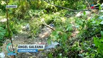 Asesinan a cuatro policías durante una emboscada en Tierra Colorada, Guerrero