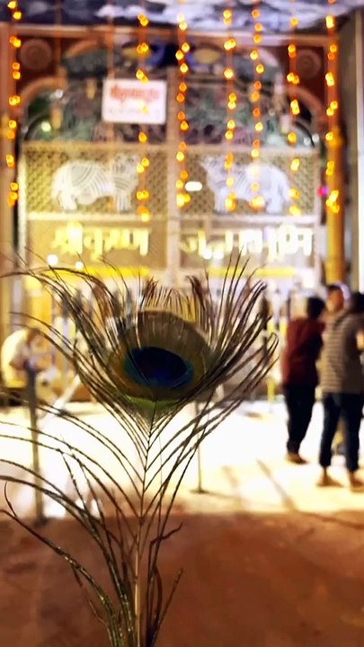 जय श्री कृष्ण  जन्माष्टमी के पूर्व जगमगाती श्रीकृष्ण जन...्ात्...mashtamispecial #mathuravrindavan #krishna #reelsinstagram #incre