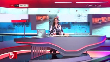 Avestruces que “corretearon” en La Paz llegaron para una feria educativa y tiene un valor de más de $us 2.000 