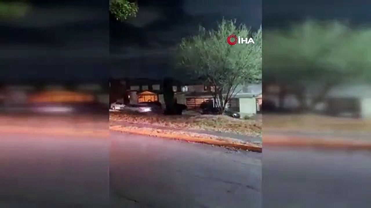 Meksika'da Devasa Ayı Sokaklara İndi