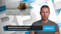 Grizzly Bear Responsible for Fatal Attack. Euthanized After Breaking into Montana Home