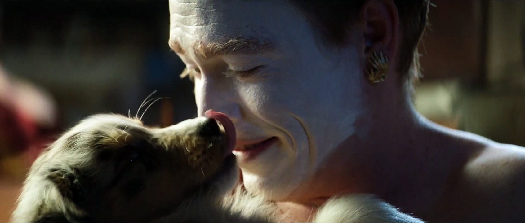DOGMAN Film