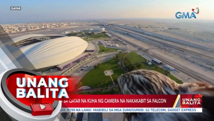 Mga pasyalan sa Qatar na kuha ng camera na nakakabit sa falcon | UB
