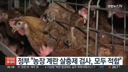 정부 "농장 계란 살충제 검사, 모두 적합"