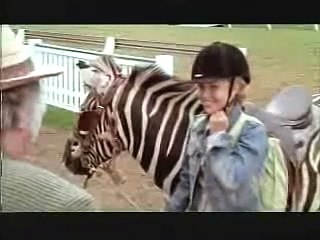 Deu Zebra! 🦓 - Movie Trailer (2005) | A Heartwarming Tale of a Lost Zebra's Journey