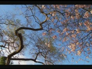 Musica relajante-Relaxing music (Bilitis)