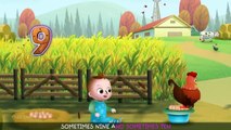 Hickety Pickety My Cute Hen Nursery Rhymes & Kids Songs