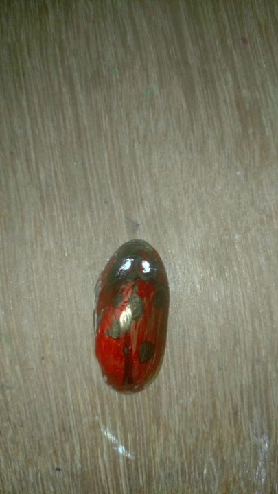 Ladybug drawing on parlshell