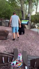 Ours surprise les campeurs au lac Harmony 🐻