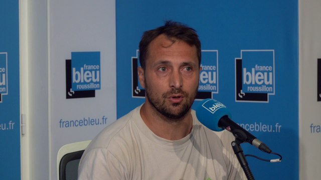 Vendanges : la situation dans les Pyrénées-Orientales est catastrophique , selon les vignerons