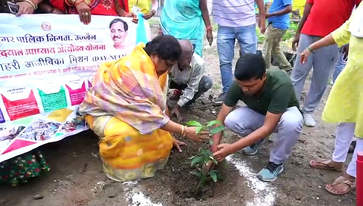 Plants planted today will improve the environment tomorrow