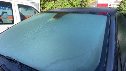 Ardahan'da Soğuk Hava: Bitkiler Kırağa, Otomobiller Buzlandı