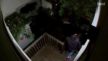 Man Saves Dog From Raccoon Attack