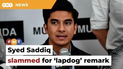 DAP man hits back at Syed Saddiq for ‘lapdog’ remark