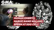 Human embryo, nabuo nang walang sperm at egg cell! | GMA News Feed