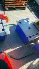 Tiger Shark Attacks Whale