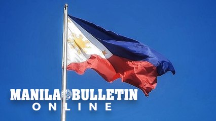 PH far from 'war footing', DND chief tells Makabayan solon