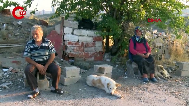 Ankara'da kan donduran olay! Sokak köpeklerini beslerken başından vuruldu